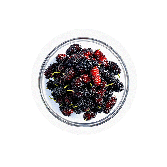 files/Mulberry_reduced.png