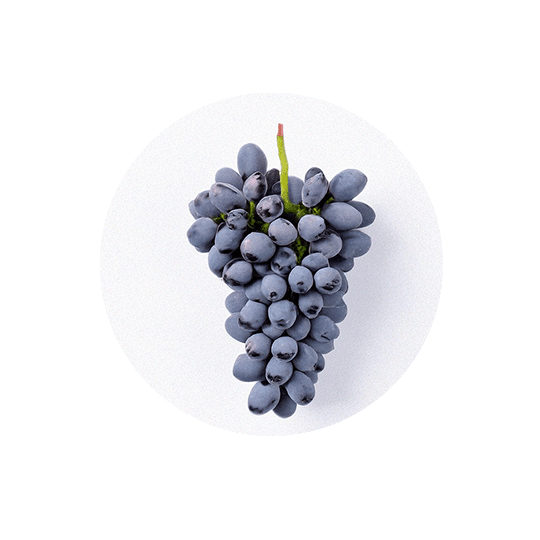 files/Resveratrol_reduced.png
